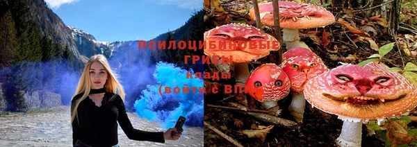 МДПВ Верхний Тагил